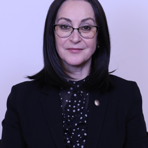 Deputat de Neamț se plânge de amenințări în timpul campaniei electorale