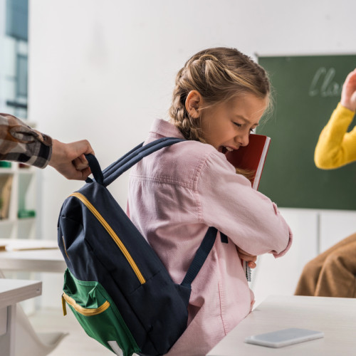 Raluca Turcan anunță inițierea a două proiecte de lege pentru protejarea copiilor