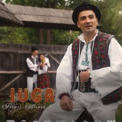 „Mandra me' floare aleasa”: o piesă muzicală cu putere de sinceritate și emoție