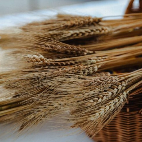 Rusaliile: sărbătoarea Pogorârii Duhului Sfânt și semnificația sa pentru credincioși