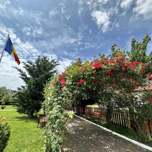 Tunelul Trandafirilor de la Aninoasa a înflorit, oferind o oază de liniște