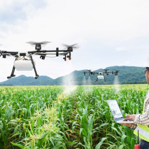 Provocările adopției inteligenței artificiale în industria alimentară, potrivit specialiștilor universitari