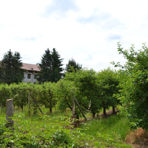 Finalizarea procesului de retrocedare a 82 de hectare de teren din zona stațiunii pomicole