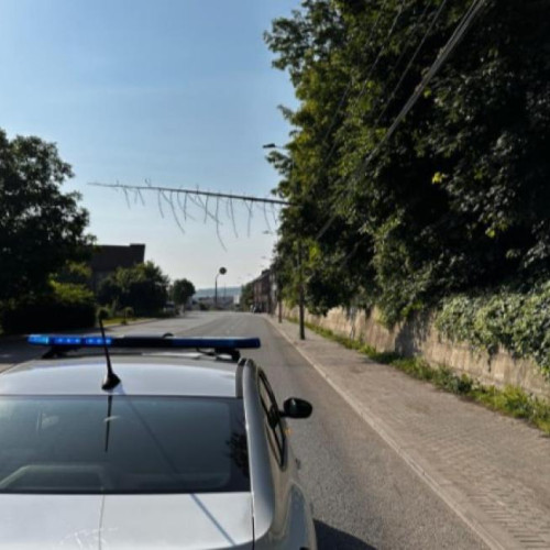 Aterizare de urgență în Dej din cauza unui copac căzut peste linii electrice