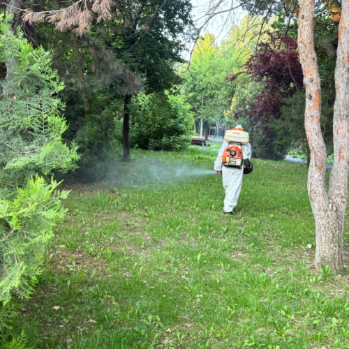 Intervenție pentru combaterea insectelor zburătoare în Galați în perioada iunie 2025