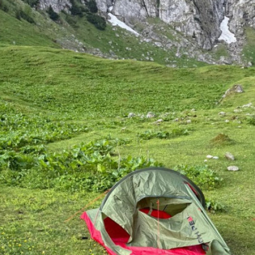 Urs aproape de cort în zona Mălăiești, județul Brașov