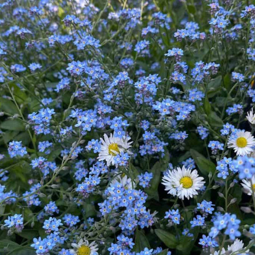 Vremea în Alba în perioada 9-15 iunie: răcire temporară și apoi revenire a caniculei