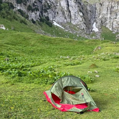 ursul de la munte din judetul brasov a speriat o familie cu doi copii