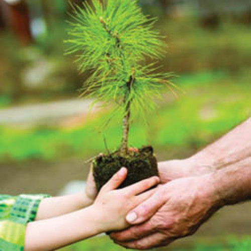 eveniment dedicat Ziului silvicultorului la muzeul cinegetic posada