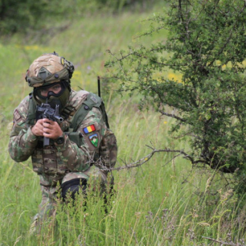 exercițiul multinațional saber guardian 25 aduce împreună peste 5.000 de militari din patru țări