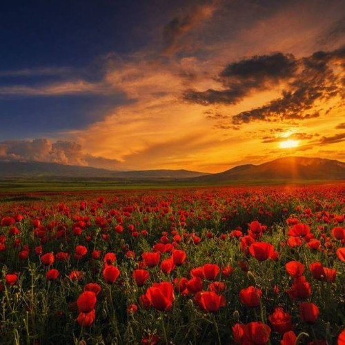 Vremea va varia în următoarele zile în România, conform estimărilor ANM pentru perioada 9-22 iunie. Potrivit acestora, în regiunile Banat și Crișana, temperaturile vor crește ușor, în timp ce în Muntenia și Dobrogea se va produce o răcire a vremii.