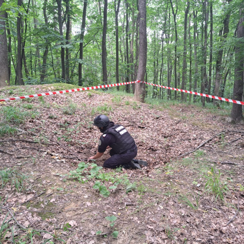 Descoperire periculoasă în pădurea din Botoșani trebuie măsurată cu atenție