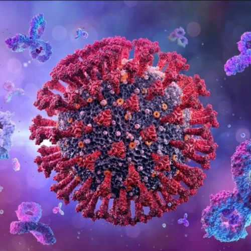 descoperire crucială despre modul de multiplicare al SARS-CoV-2