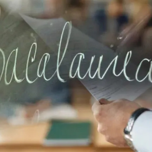 repartizarea candidaților pentru bacalaureat 2025 în neamț și procedurile examenului