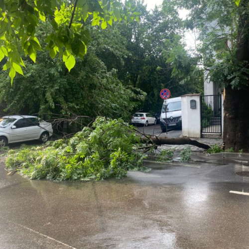 furtună puternică a doborât zeci de copaci în bucurești și zonele învecinate