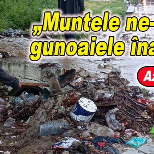 Comentariu al unui localnic după viitura din județul Buzău: "Muntele ne-a dat gunoaiele înapoi"