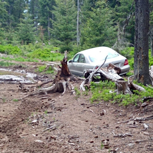 echipa salvamont bistrita-nasaud intervine pentru cautarea unei persoane dispărute în munții calimani