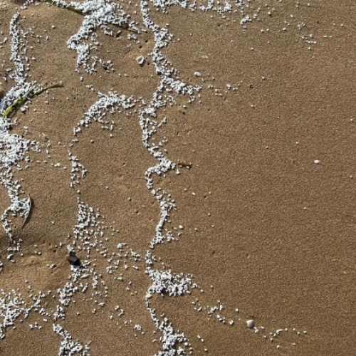 Particule albe misterioase aduse de valuri pe coasta Valenciei au dus la închiderea mai multor plaje