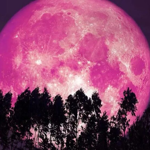 Festivalul "Luna Capsuna" din 2025, un fenomen astronomic spectaculos, va putea fi admirat pe cer în seara zilei de 10 iunie, iar cel mai amplu efect va fi vizibil în data de 11 iunie, relatează site-ul specializat space.com. Potrivit astronomilor, Luna plină are loc în fiecare lună când satelitul natural al Pământului se află direct în fața Soarelui, vizibil pe cerul nostru.