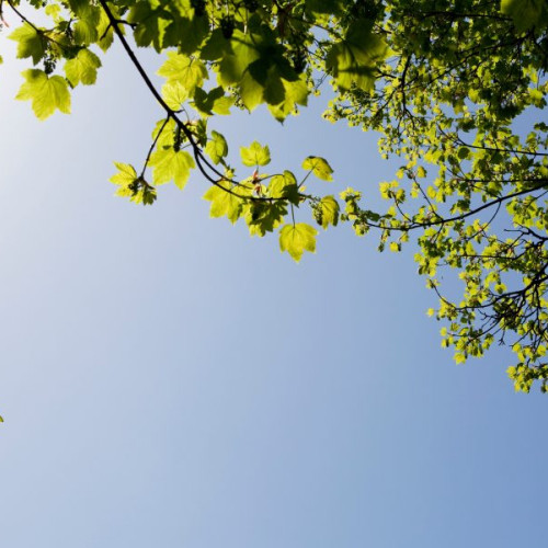 Prognoza meteo pentru următoarele două săptămâni anunțată de ANM