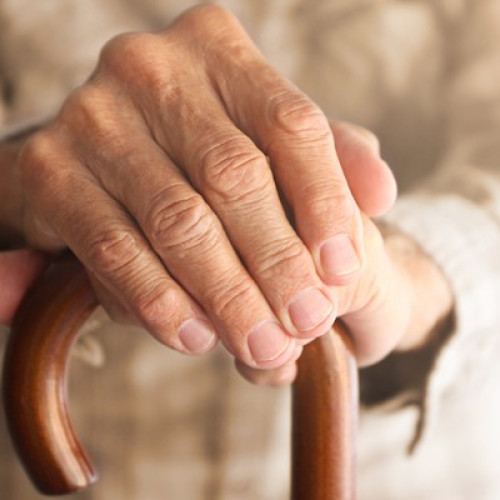 Pensionarii centenar din Botoșani, simbol al devotamentului și rezistenței