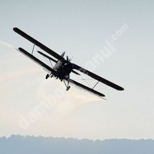 anunț privind combaterea insectelor în targoviște