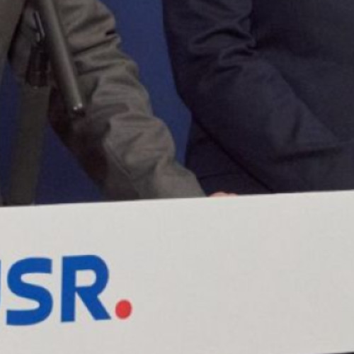 alegeri online pentru noul lider al partidului