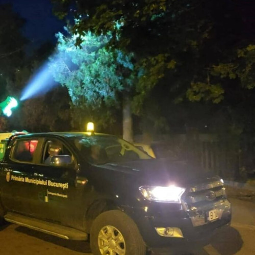 Bucureștiul aplică tratamente pentru combaterea țânțarilor în sezonul estival