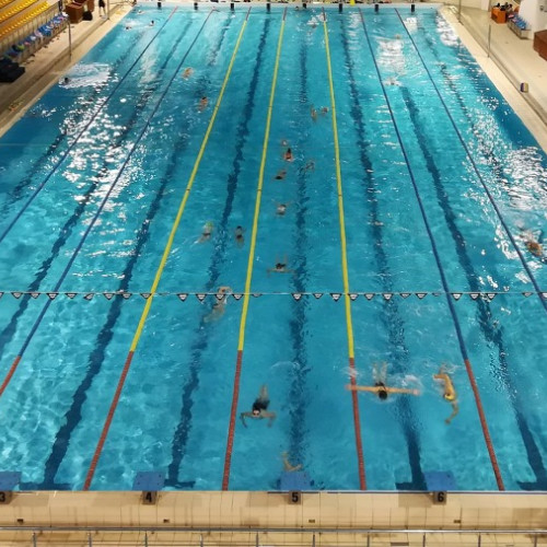 descoperiri privind taxele ilegale la clubul sportiv municipal bacau