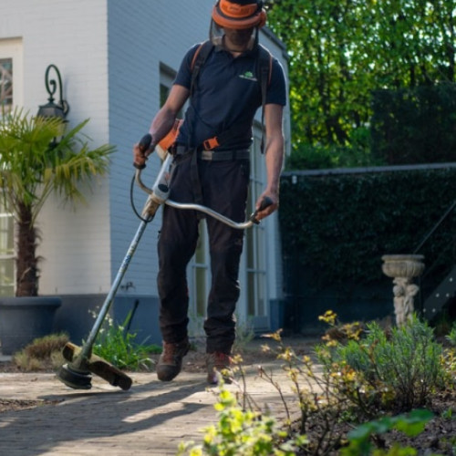 Primarul din Bucecea face apel la civism pentru curățenie și întreținere