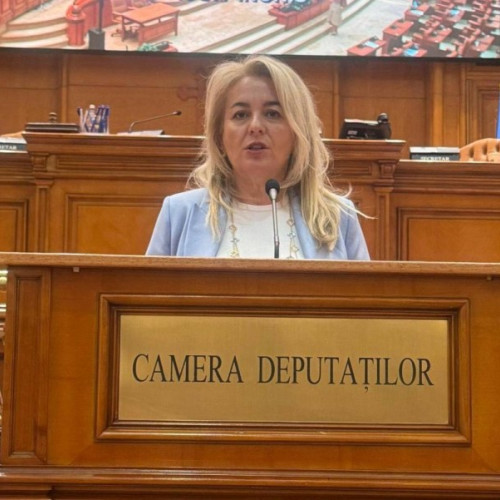 Inițiativă legislativă pentru sprijinirea victimelor violenței domestice în România