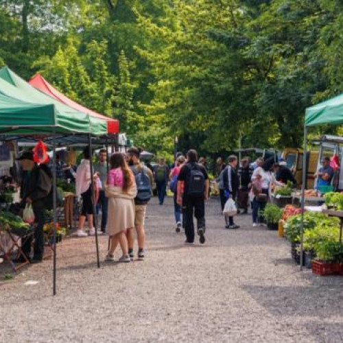 Pompa de evenimente transformă Clujul într-un oraș plin de festivaluri, dar și într-un labirint pentru șoferi