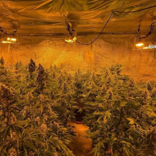 Un bărbat din județul Vâlcea, arestat pentru trafic de droguri