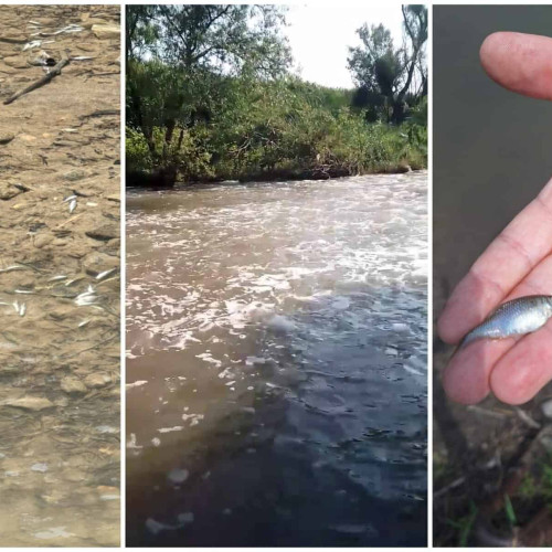 Criza ecologică cauzată de intervenţiile din Salina Praid devine tot mai gravă