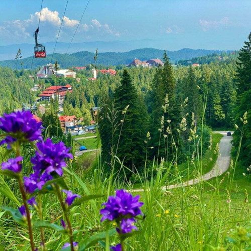 Vremea caldă în România în iunie și iulie, cu precipitații deficitare