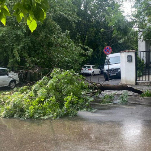 Creșterea numărului de dosare de daună din cauza inundațiilor și furtunilor din România