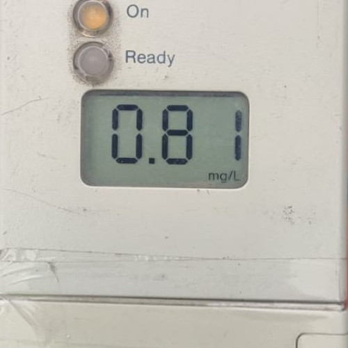 Trei șoferi arestați în Vrancea pentru conducere sub influența alcoolului