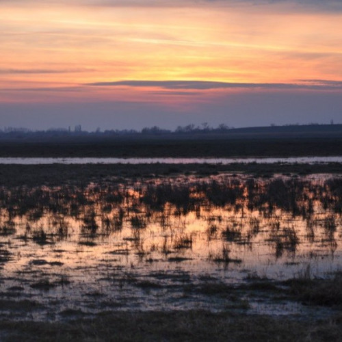 conferința de lansare a proiectului transfrontalier pentru utilizarea durabilă a resurselor naturale în Banat și Crisana