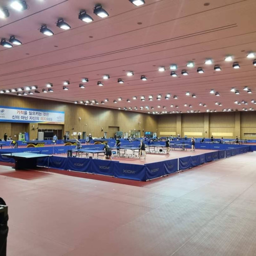 România va concura la Campionatul Mondial de tenis de masă seniori, din Coreea de Sud