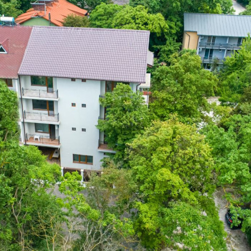 pensiune de pe strada salcamului, in padurea comorova, scoate la vanzare proprietatea