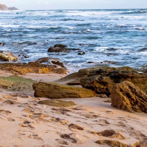 atelier de lucru pentru reconstructia ecologica în comuna Corbu
