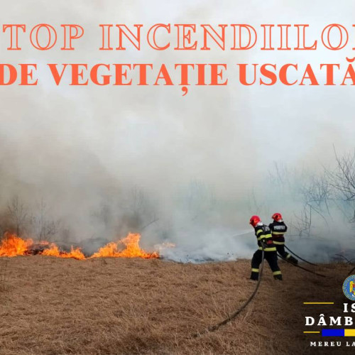 17 incendii de vegetație uscată în ultimele 48 de ore, stinse de pompierii dâmbovițeni
