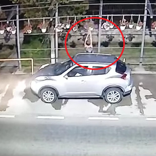 Primăria Nicolae Bălcescu reacționează după o tentativă de furt a florilor din spațiul public