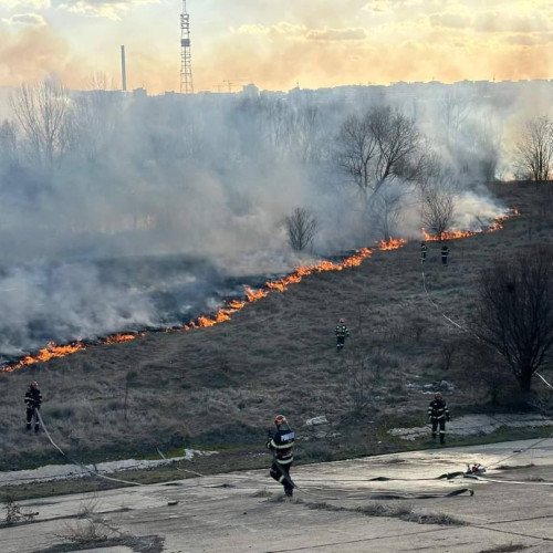 1,5 hectare incendiate în Delta Văcărești