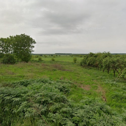 licitație pentru teren arabil extravilan în Constanța