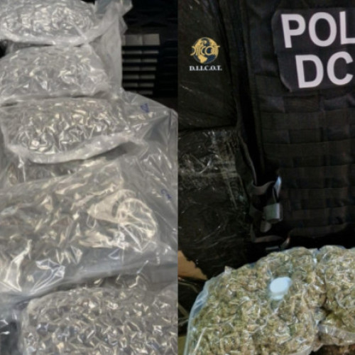 Grupare specializată în traficul de substanțe psihoactive destructurată de polițiști în București și Ilfov