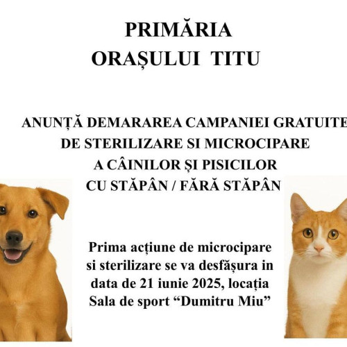 Campanie gratuită pentru sterilizarea și microciparea animalelor din Titu