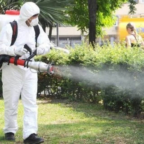 Actiune de dezinsectie si deratizare in Moreni, programata pentru saptamana viitoare