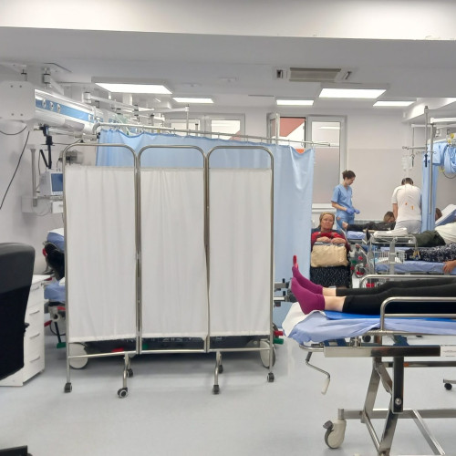 Număr mare de botoșăneni hospitalizați în urma atacurilor animalelor