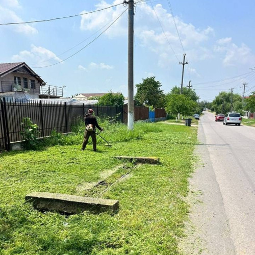 Primăria din Butimanu anunță o acțiune de dezinsecție în comună